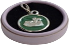 PENDIENTE MEDALLA COLOR C-COMEDERO-HUESO