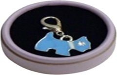 JOYA PERRITO COLOR CON OJO STRASS Y COLLAR