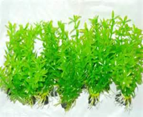 PLANTA ARTIFICIALES