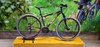 SILVERFOX R29