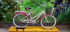 AURORA FAMILY R26