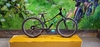 TREK PRECALIBER R24