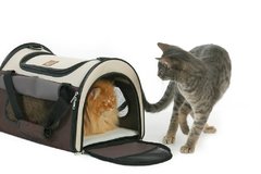 MALETA DOMO PLEGABLE - comprar en línea