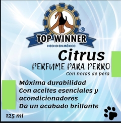 PERFUMES - online store