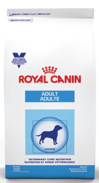 ADULT DOG