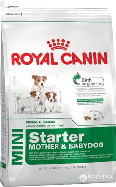 MINI STARTER MOTHER & BABYDOG