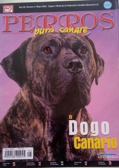 DOGO CANARIO MAY 2003