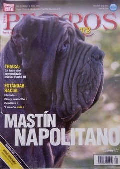 MASTIN NAPOLITANO ENE 2012