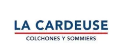 Colchon LA CARDEUSE INEDIT 80x190X20- ESPUMA. PROMO CONTADO en internet