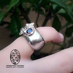 Anillo Botero en internet
