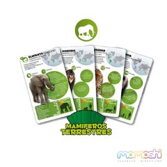 Cartas Luminias Mamiferos Terrestres