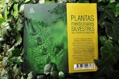 Plantas Medicinales Silvestres del Centro de Argentina - Guía para su reconocimiento y uso terapéutico - comprar online
