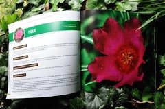 Plantas Medicinales Silvestres del Centro de Argentina - Guía para su reconocimiento y uso terapéutico en internet