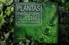 Plantas Medicinales Silvestres del Centro de Argentina - Guía para su reconocimiento y uso terapéutico