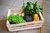 Bolsón de Verduras Agroecológicas