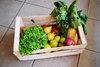 Combo N°5: Bolsón de Verduras x 6 Kg.+ Naranjas + Mandarinas + Paltas + Arroz Integral Doble Carolina