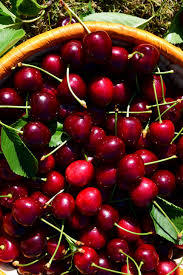 Cerezas Orgánicas x Kg