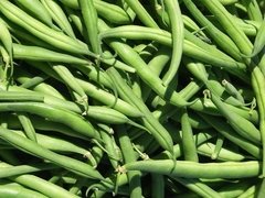 Chaucha Agroecológica x Kg.