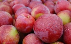 Ciruelas Rojas Orgánicas x Kg