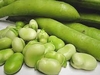 Habas Agroecológicas x Kg. - comprar online