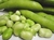 Habas Agroecológicas x Kg. - comprar online