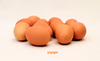 Huevos de Gallinas Felices ´´Plumas Verdes´´