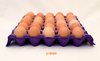 Huevos de Gallinas Felices ´´Plumas Verdes´´ - comprar online