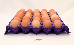 Huevos de Gallinas Felices ´´Plumas Verdes´´ - comprar online