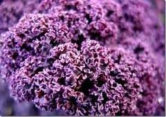 Kale Agroecológico x Atado - comprar online