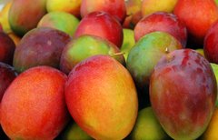 Mangos Orgánicos x Kg.
