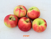 Manzanas Rojas Orgánicas x Kg - tienda online
