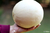 Melón Agroecológico x Unidad - comprar online