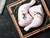 Pata Muslo de Pollo Feliz - Congelado - ´´Plumas Verdes´´ (Bandeja de 1 Kg. Aprox.)