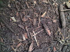 Tierra Enriquecida Orgánica ´´Proyecto Hormiga´´ (Bolsa x Dm.)