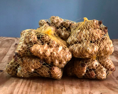 Topinambur Agroecológico x Kg