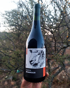 Vino Agroecológico de Altura ´´Cuesta de Barreales´´ (Barrica de Madera)