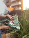 EcoWrap Sana x Unidad Talle S - comprar online