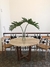 MESA HAITI CON TAPA EN PERGAMINO - comprar online