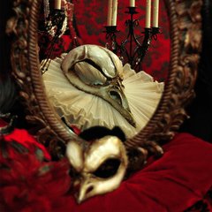 The Raw Skull - Grande - Obturia - Design