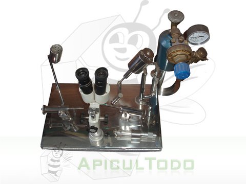 INSEMINADOR ARTIFICIAL DE REINAS