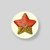 Botón con gancho ESTRELLA DE MAR