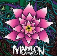 Madilon - Cambios