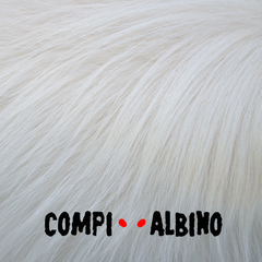 Compi Albino
