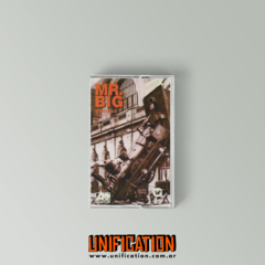 Mr Big - Introducido
