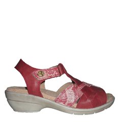 Cuero Rojo. Plantilla Anatómica