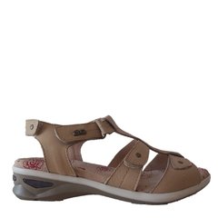 Cuero Camel. Plantilla Anatómica - comprar online