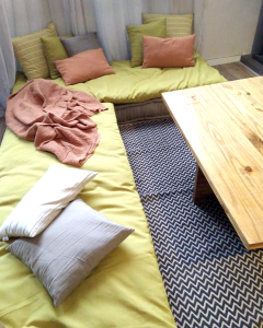 Pillow Protector con funda desmontable sustentable - tienda online
