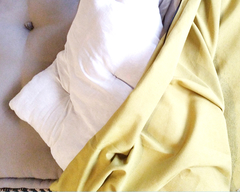 Imagen de Pillow Protector con funda desmontable sustentable