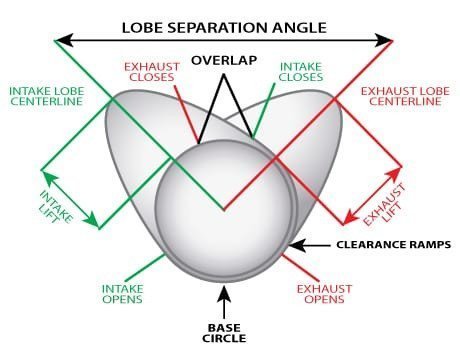 LobeDescription