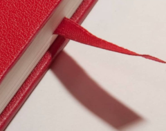 Libreta Explora Medium - Brügge. Colores varios. - comprar online